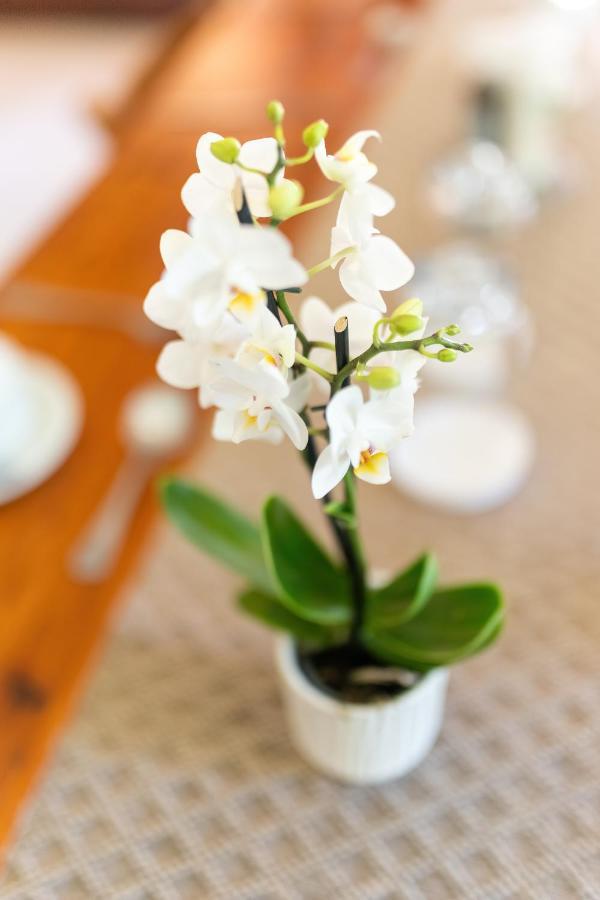 Faraway Lodge Westville 外观 照片
